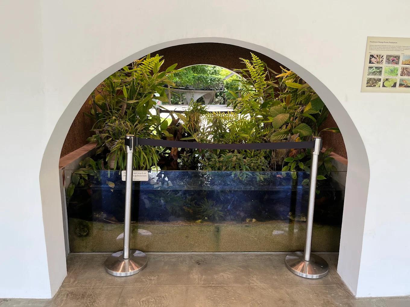 Atbara House - Lowland Forest Understorey Terrarium