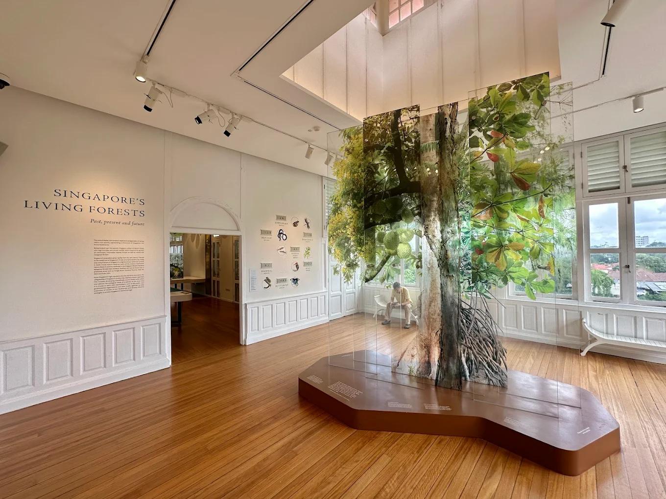 Atbara House - Singapore's Living Forests