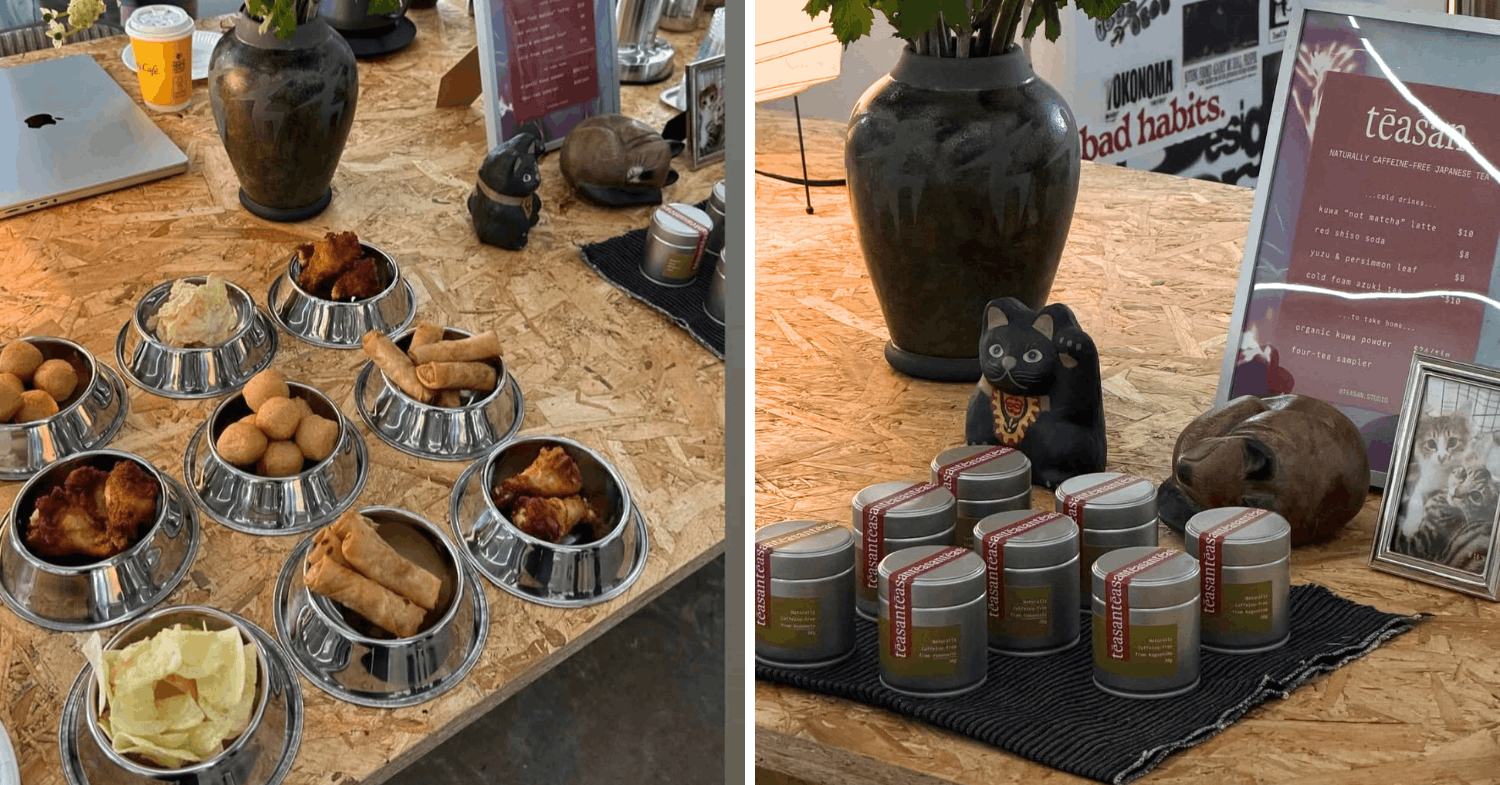 cat themed art exhibition toxoplasmosis by tokonama