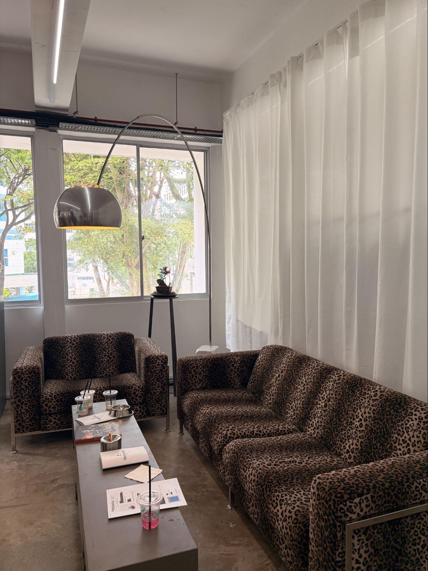 cat themed art exhibition toxoplasmosis by tokonama