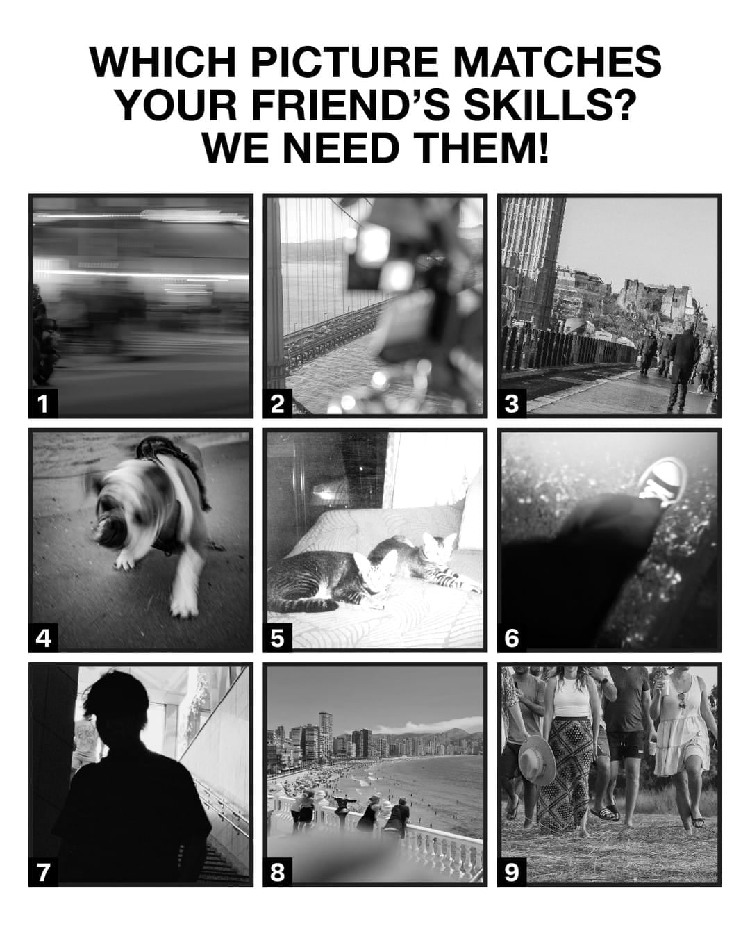 Icelandair's Really Bad Photographer campaign