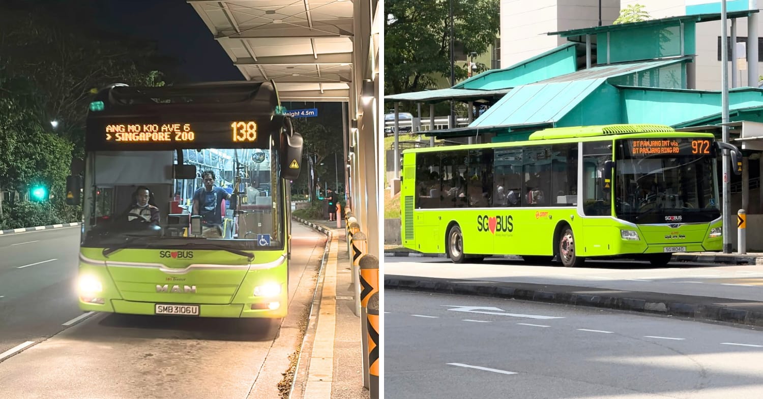 Buses to Mandai Wildlife Reserve
