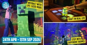 Minecraft Experience Cover