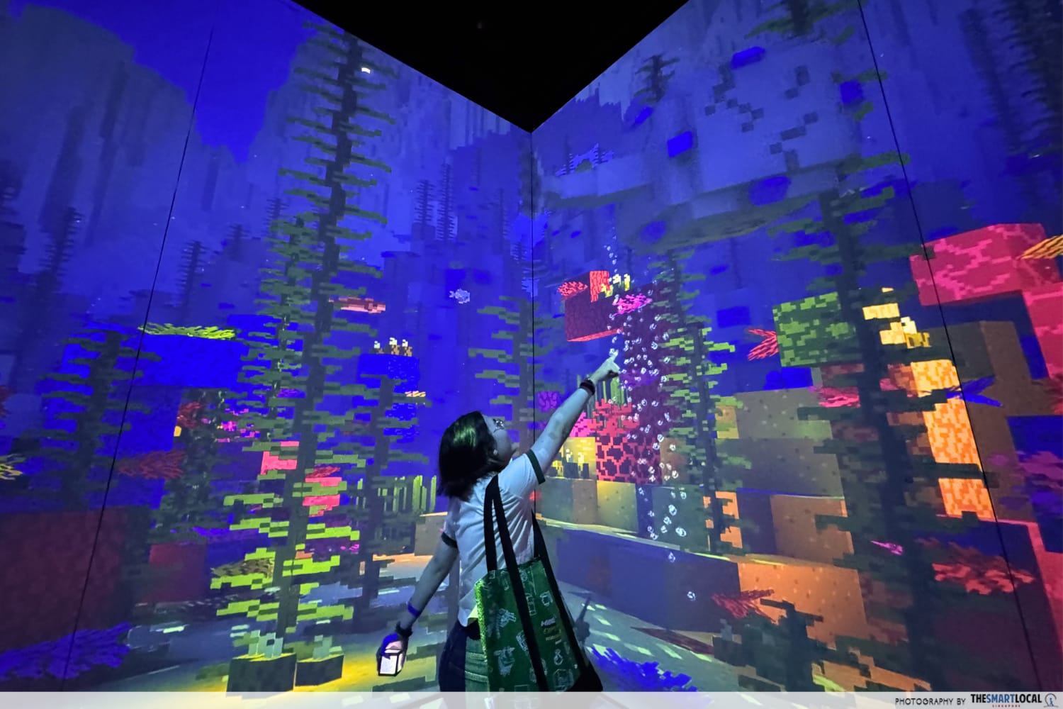Minecraft Experience Ocean Biome