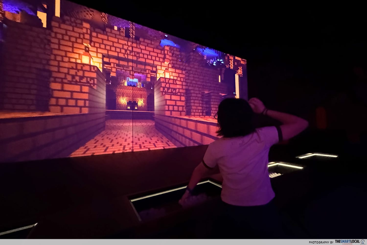 Minecraft Experience Snowball fight