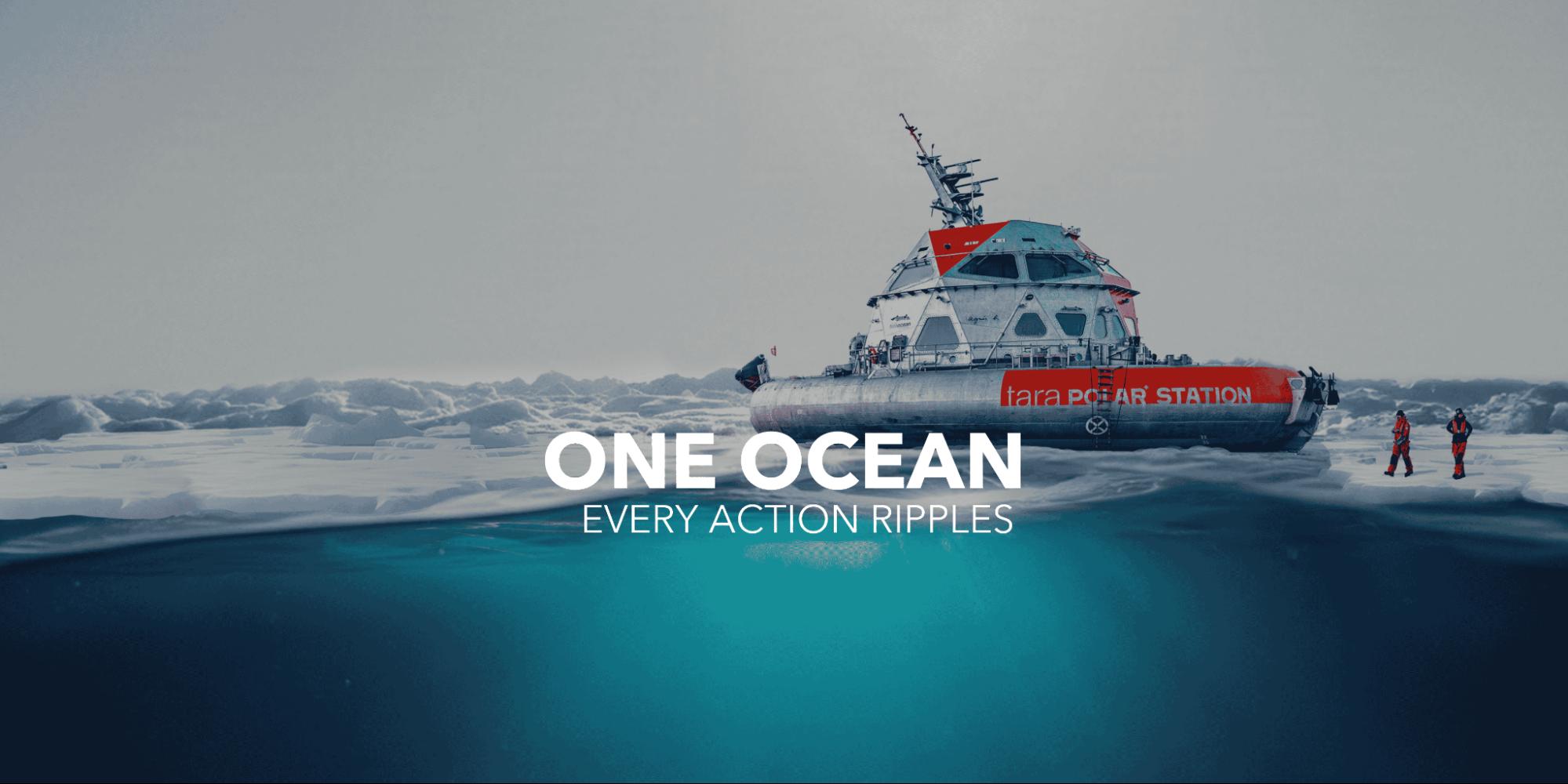 One Ocean Every Action Ripples