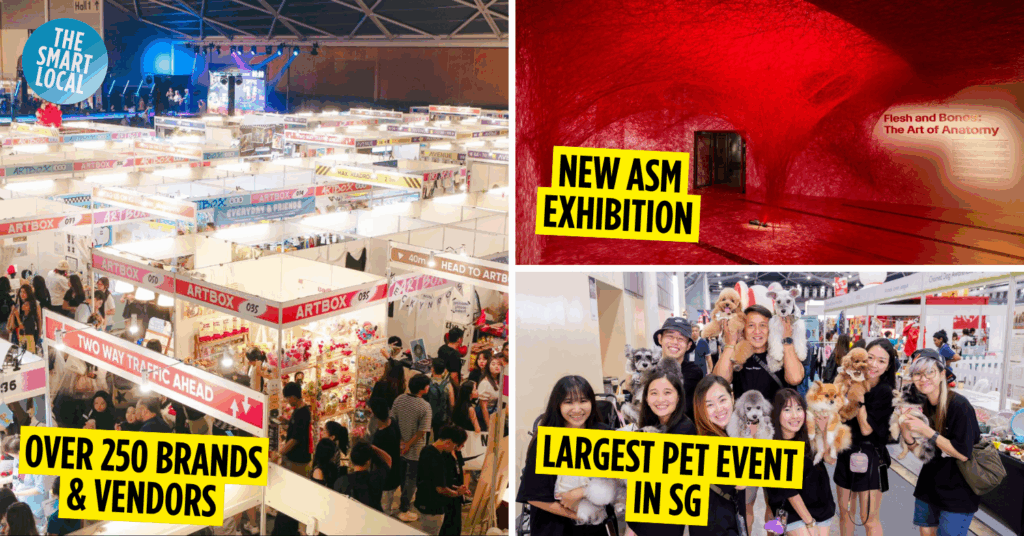 Weekend things to do cover image