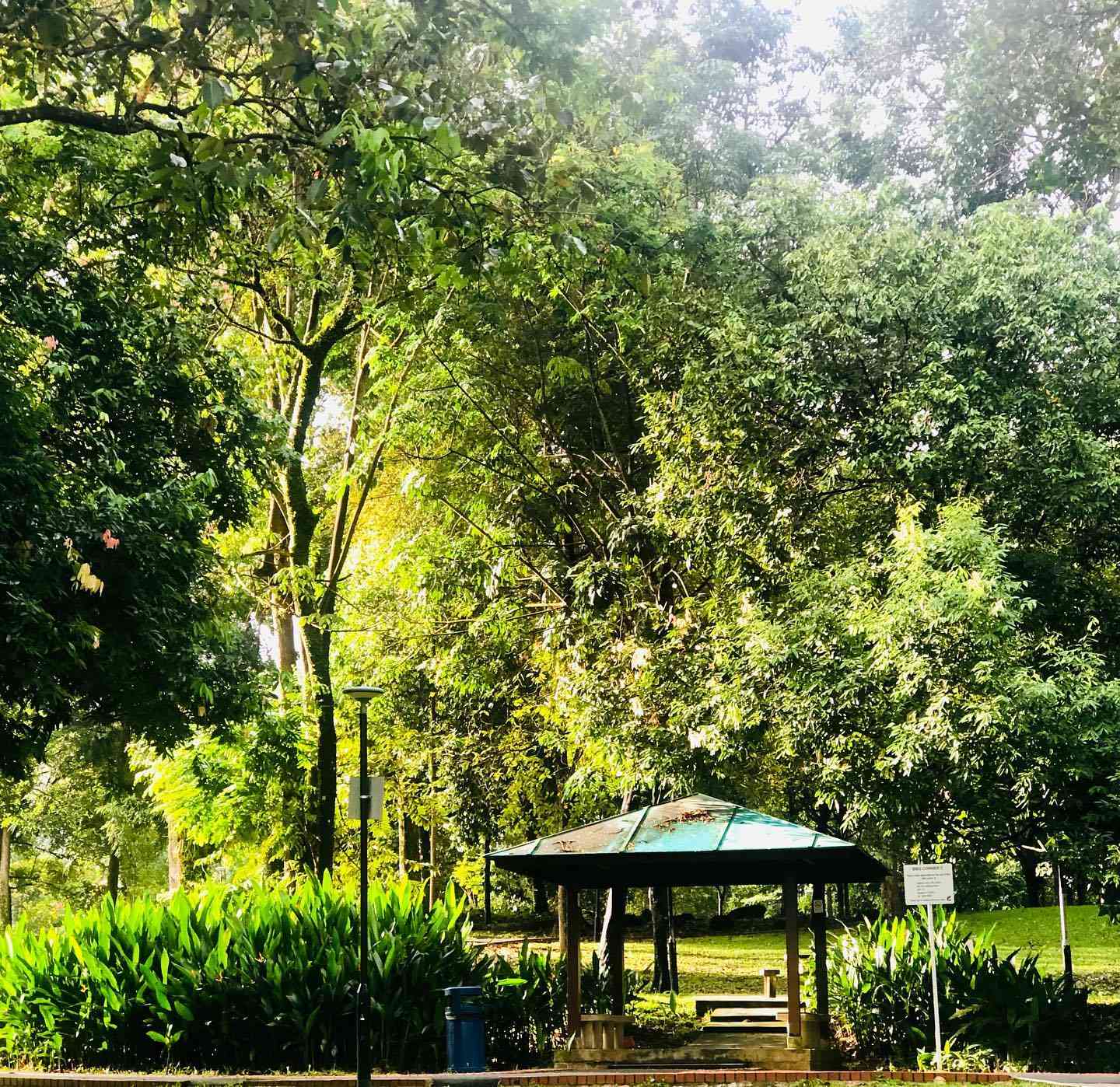 bukit panjang neighbourhood 5 park