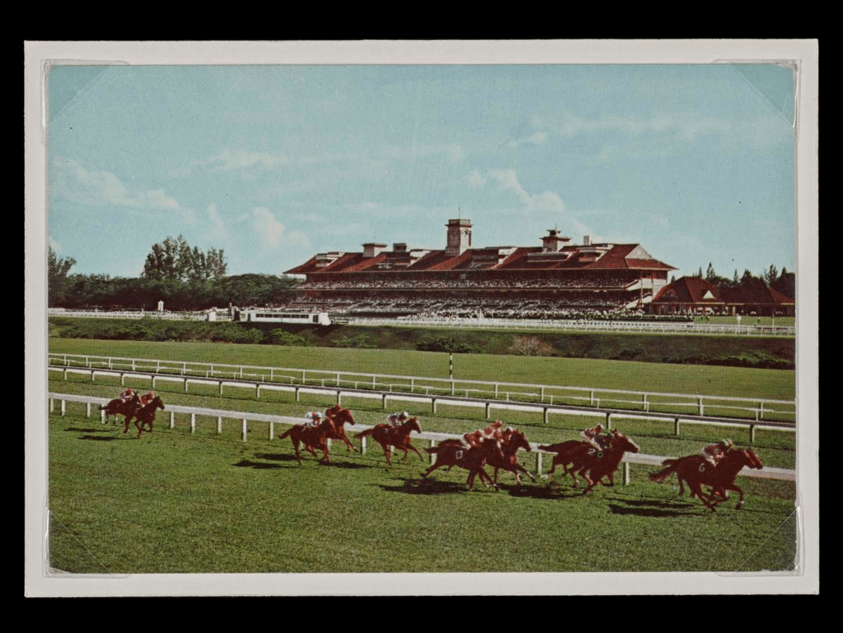 heritage buildings saved from demolition singapore petain road shophouses singapore turf club bukit timah racecourse 