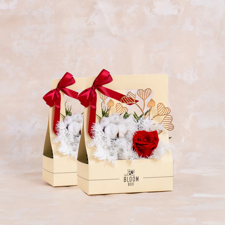 The Bloom Box