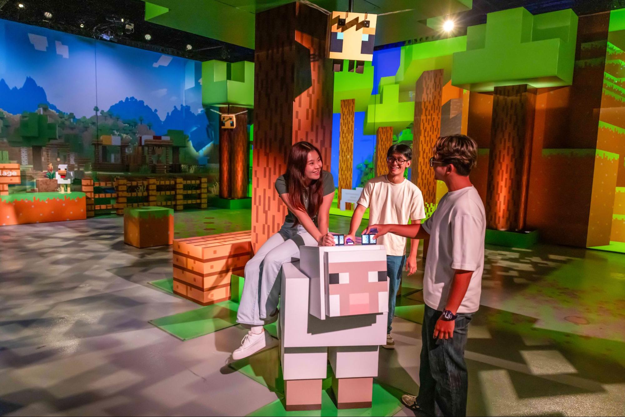 Minecraft Experience