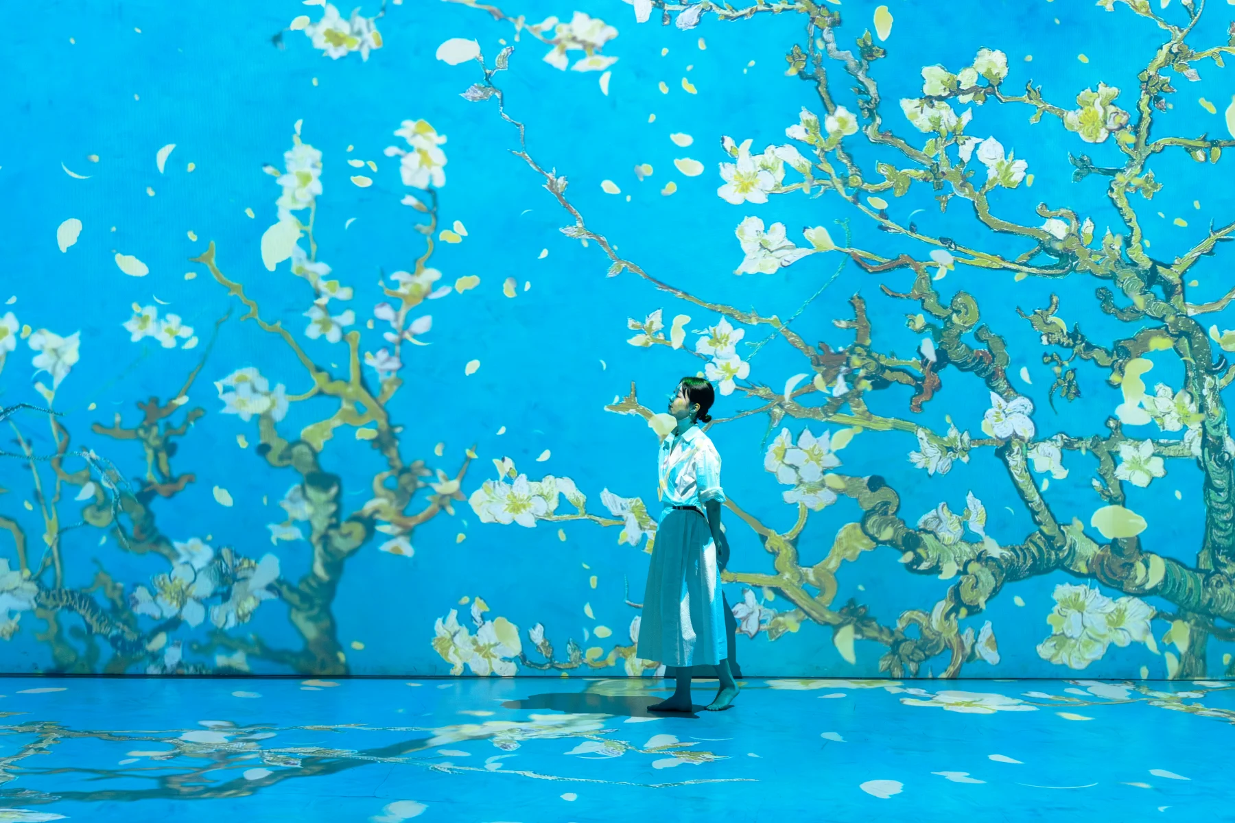 Van Gogh Inside 2026: Love, Vincent