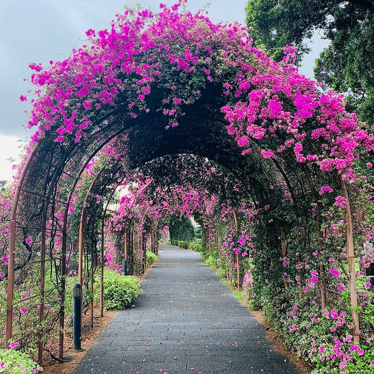Japanese Cemetery Park
