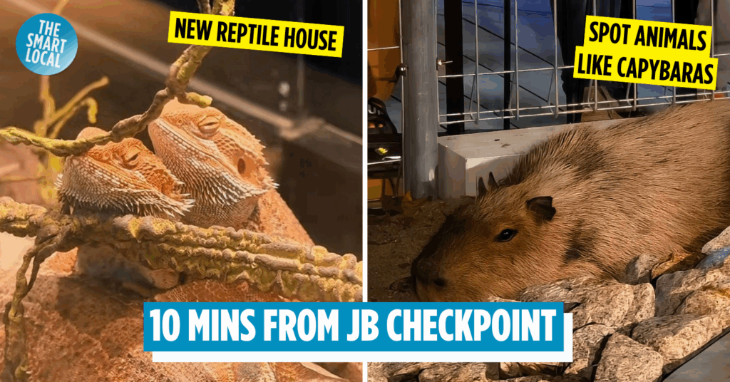 Johor Night Zoo cover