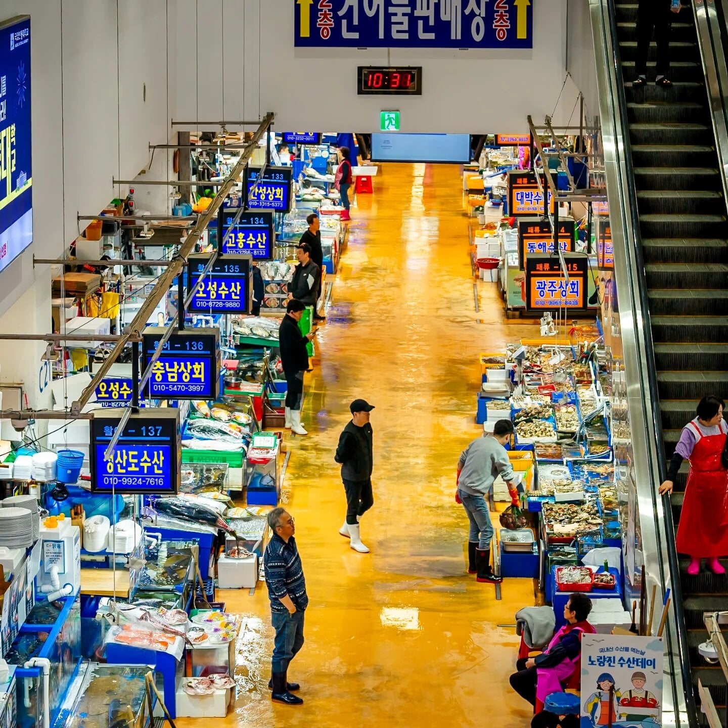 noryangjin seafood market