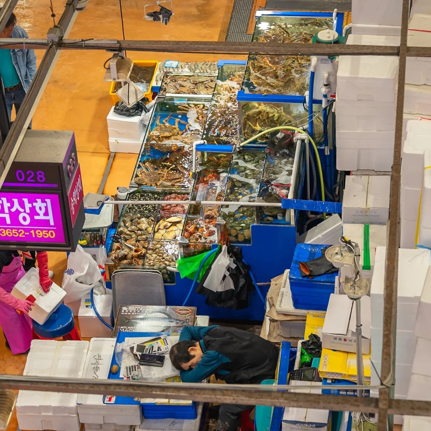 noryangjin seafood market