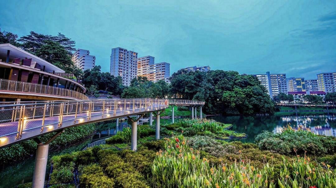 pang sua pond - elevated boardwalk