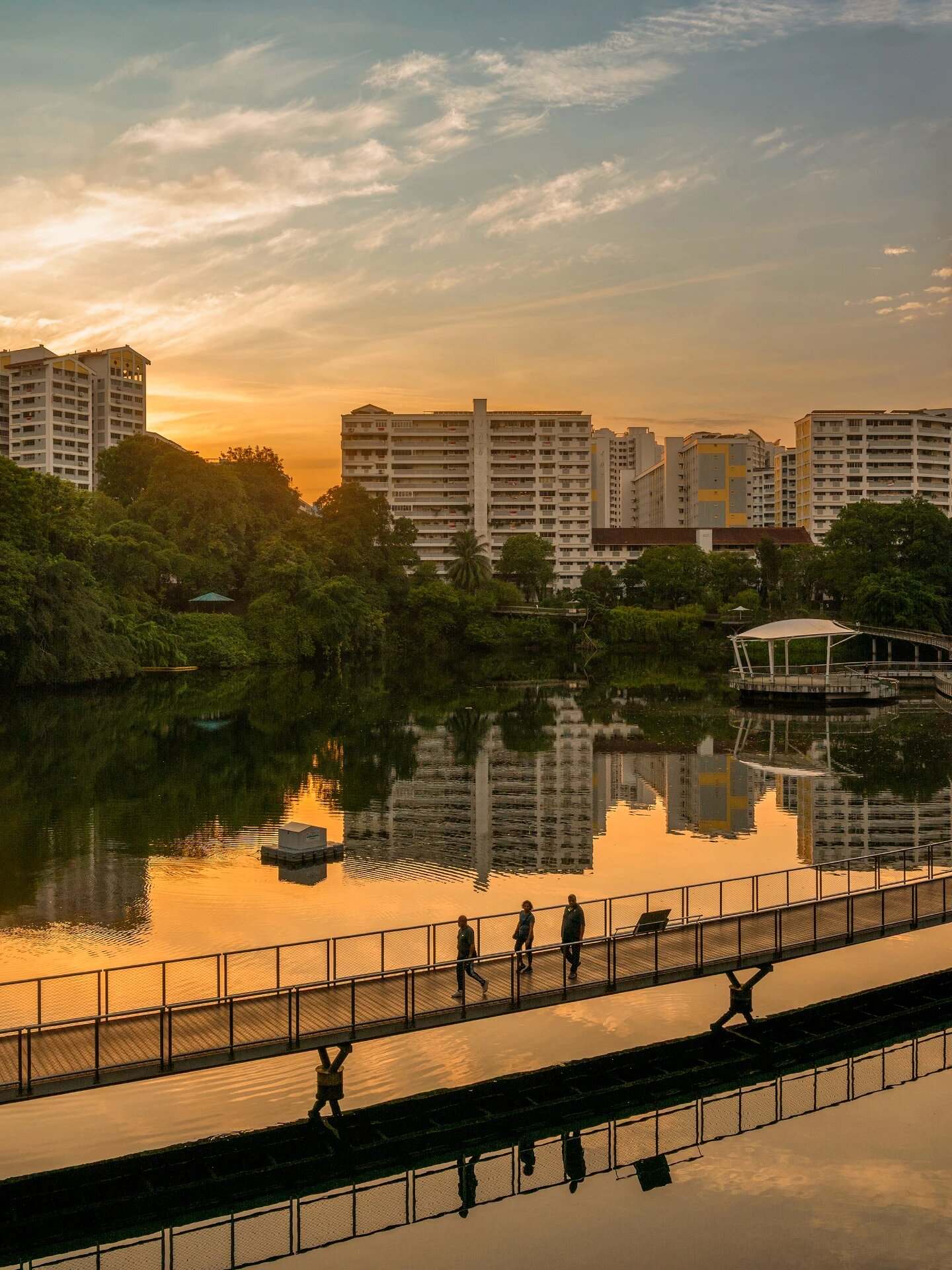pang sua pond - sunset