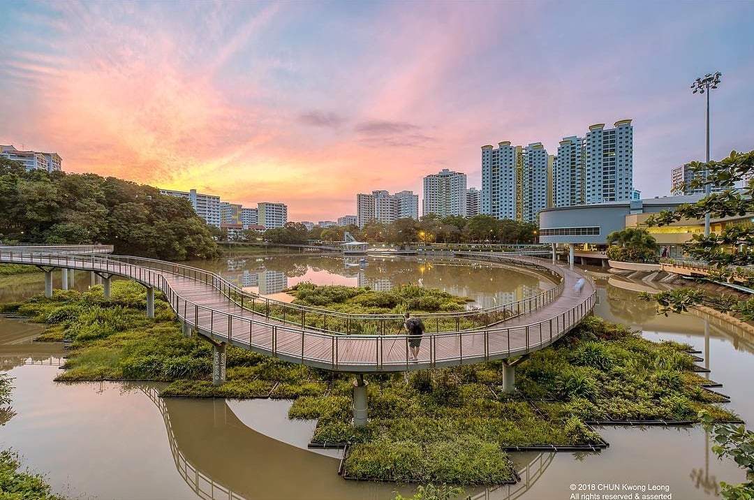 pang sua pond - wide view