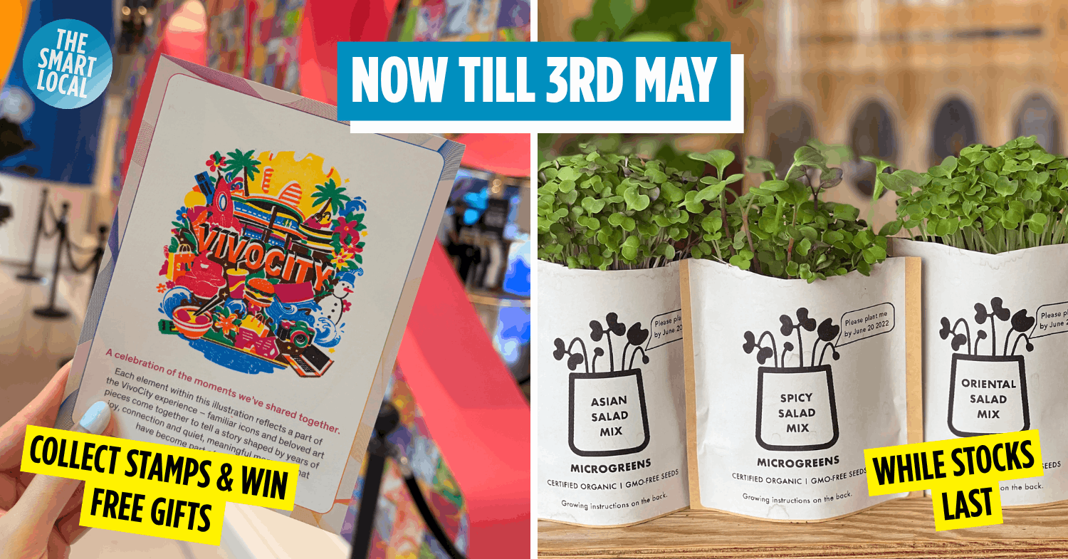 You Can Get A Free Microgreens Growing Kit By Completing This Stamp Rally At VivoCity 
