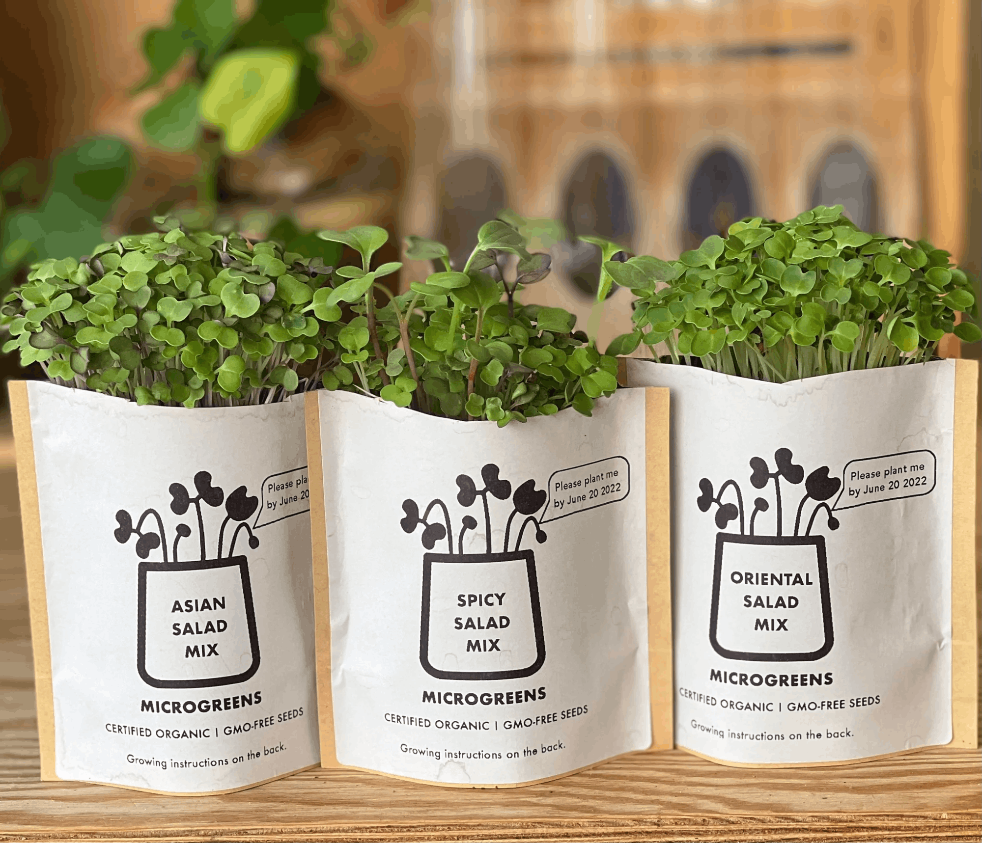 Vivocity 20th anniversary stamp rally