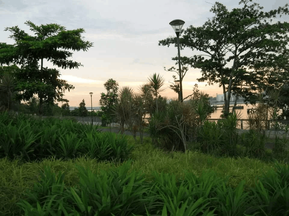20 Hidden Parks & Gardens In Singapore That Prove The Heartlands Aren't All Just HDBs - woodlands waterfront park