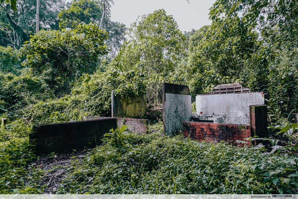 20 Hidden Parks & Gardens In Singapore That Prove The Heartlands Aren't All Just HDBs - thomson nature park