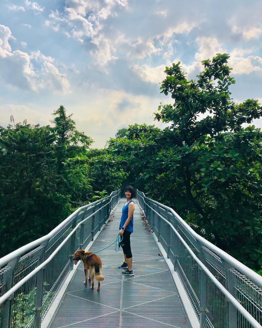 20 Hidden Parks & Gardens In Singapore That Prove The Heartlands Aren't All Just HDBs - kent ridge park