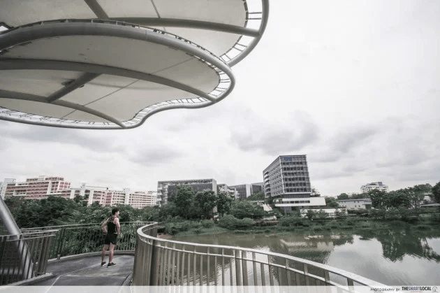 20 Hidden Parks & Gardens In Singapore That Prove The Heartlands Aren't All Just HDBs - yishun pond park