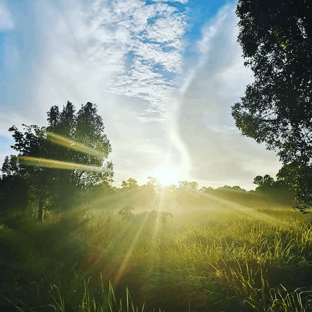 20 Hidden Parks & Gardens In Singapore That Prove The Heartlands Aren't All Just HDBs - tampines eco-green
