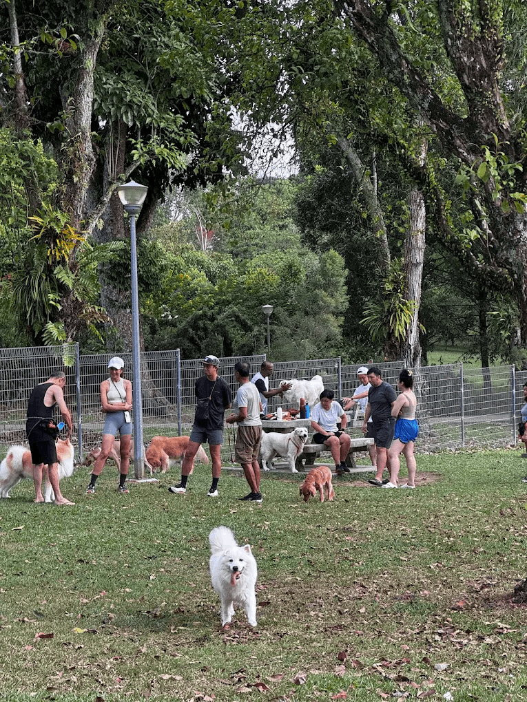 20 Hidden Parks & Gardens In Singapore That Prove The Heartlands Aren't All Just HDBs - sembawang park