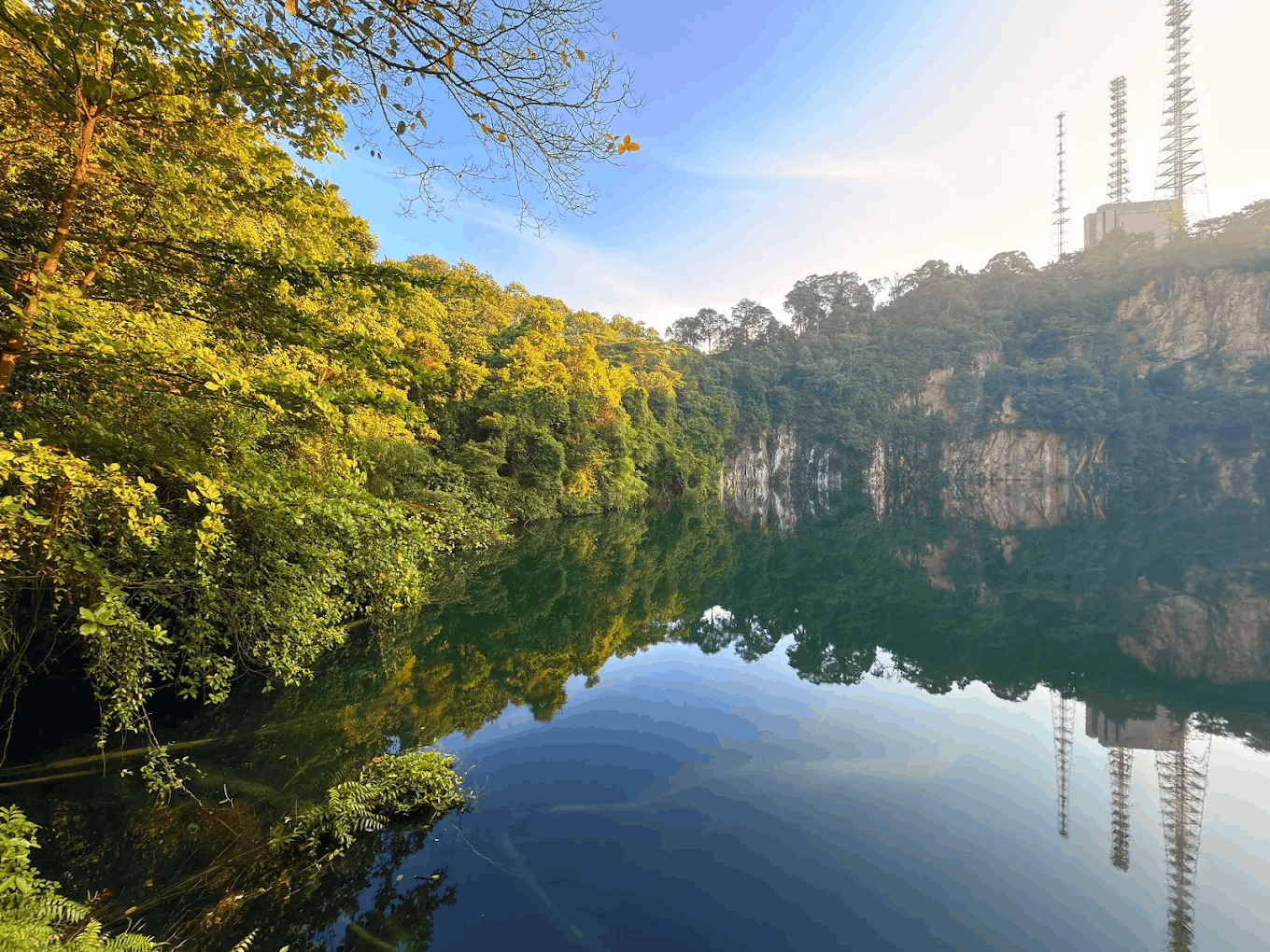 20 Hidden Parks & Gardens In Singapore That Prove The Heartlands Aren't All Just HDBs - hindhede nature park