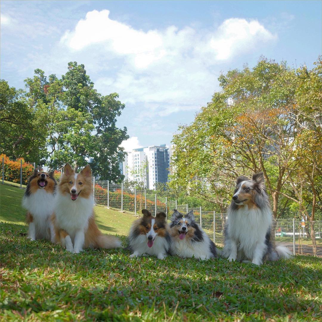 20 Hidden Parks & Gardens In Singapore That Prove The Heartlands Aren't All Just HDBs - clementi woods park