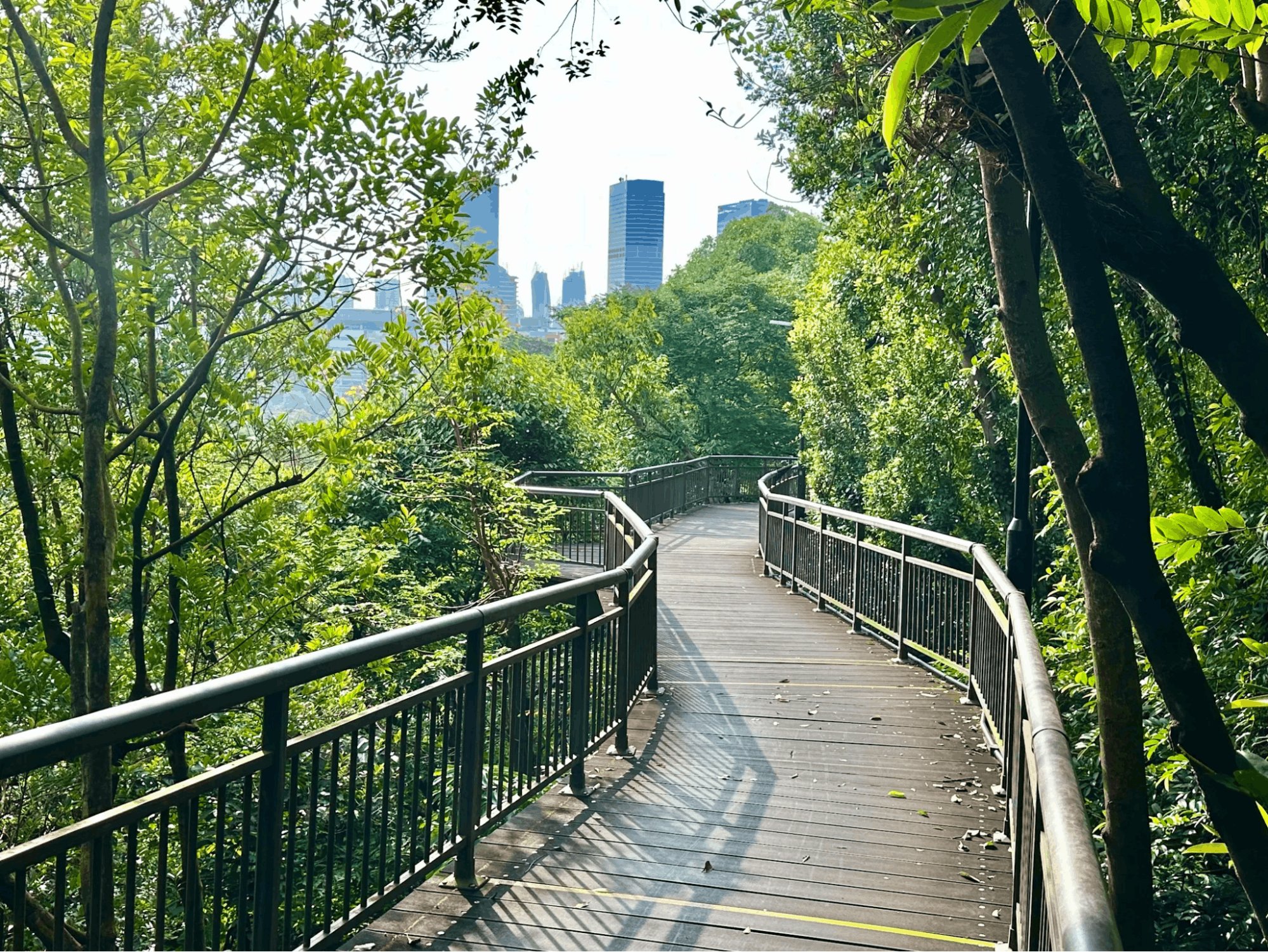 20 Hidden Parks & Gardens In Singapore That Prove The Heartlands Aren't All Just HDBs - kent ridge park