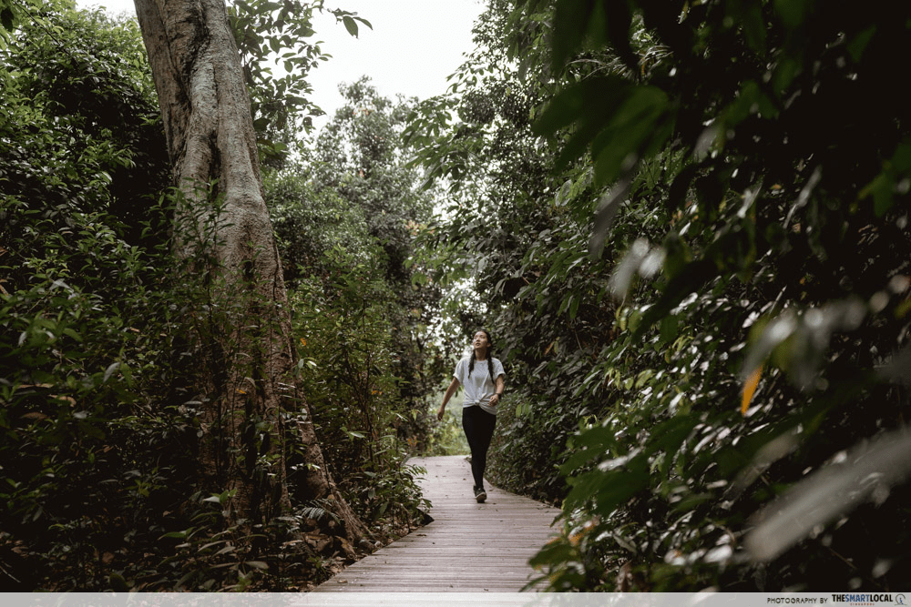 20 Hidden Parks & Gardens In Singapore That Prove The Heartlands Aren't All Just HDBs - thomson nature park