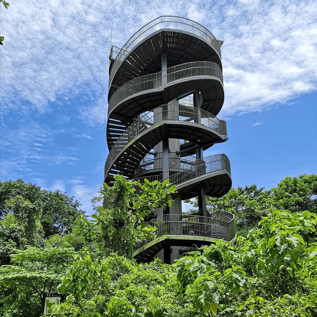 20 Hidden Parks & Gardens In Singapore That Prove The Heartlands Aren't All Just HDBs - kranji marshes