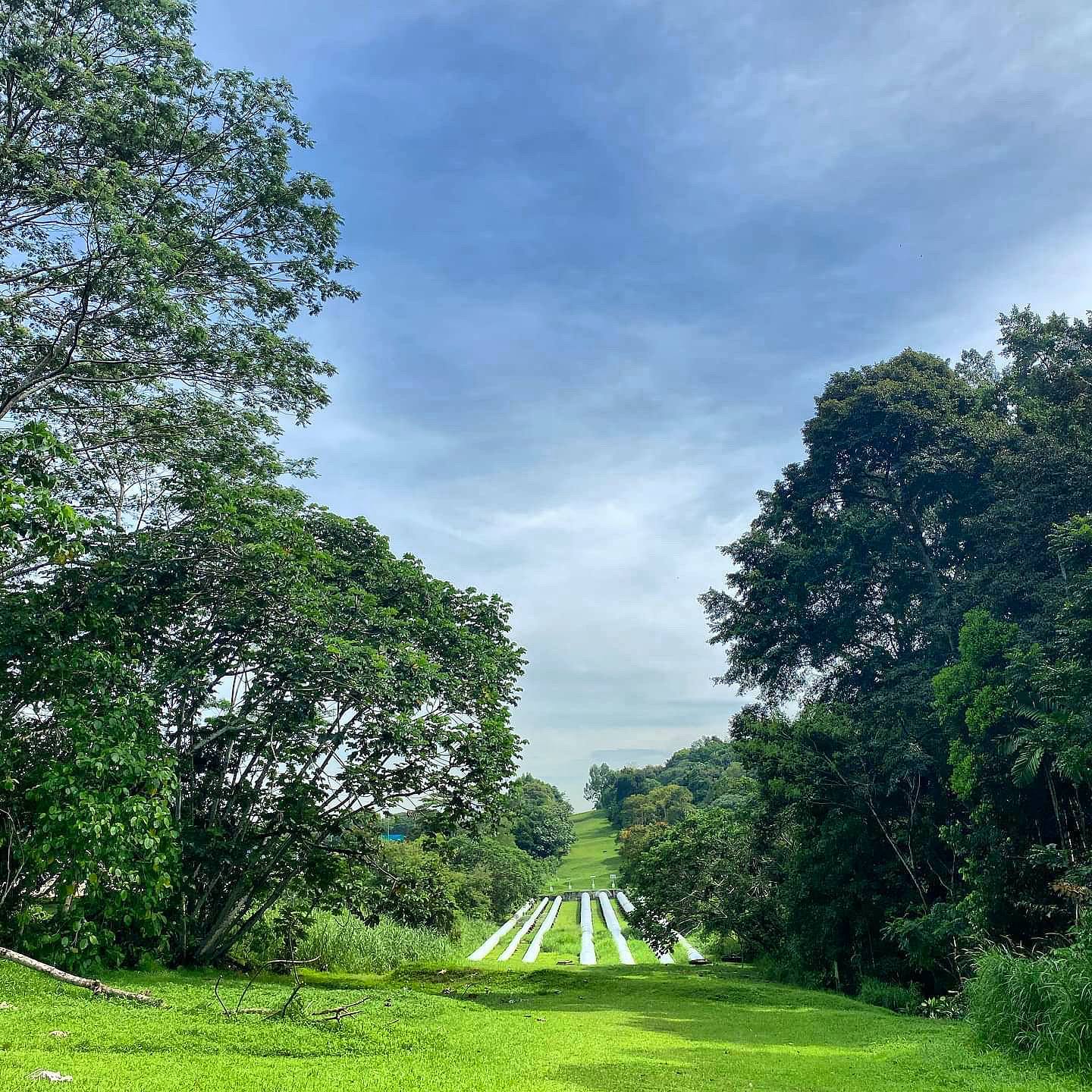 20 Hidden Parks & Gardens In Singapore That Prove The Heartlands Aren't All Just HDBs - zhenghua park