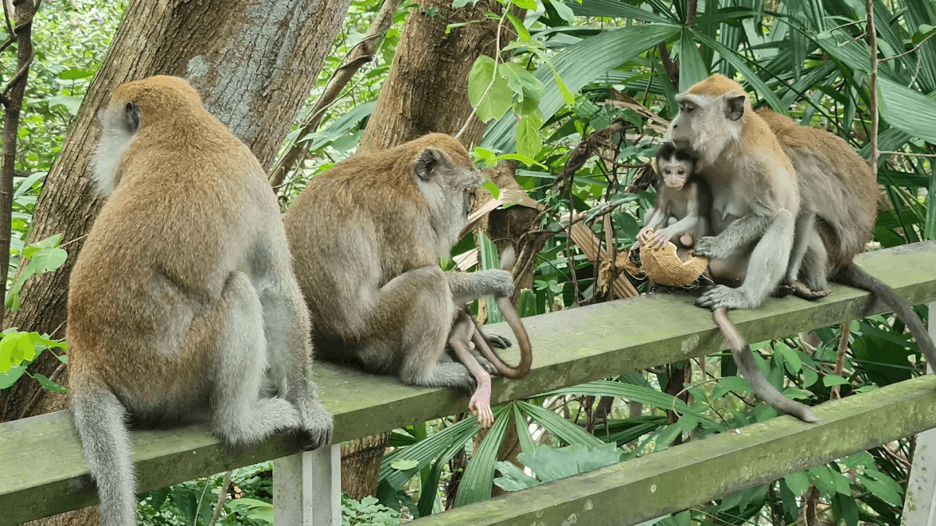 20 Hidden Parks & Gardens In Singapore That Prove The Heartlands Aren't All Just HDBs - berlayer creek