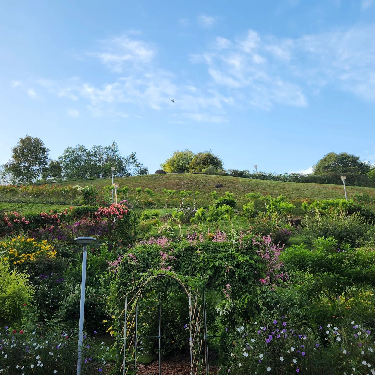 20 Hidden Parks & Gardens In Singapore That Prove The Heartlands Aren't All Just HDBs - woodlands botanical garden