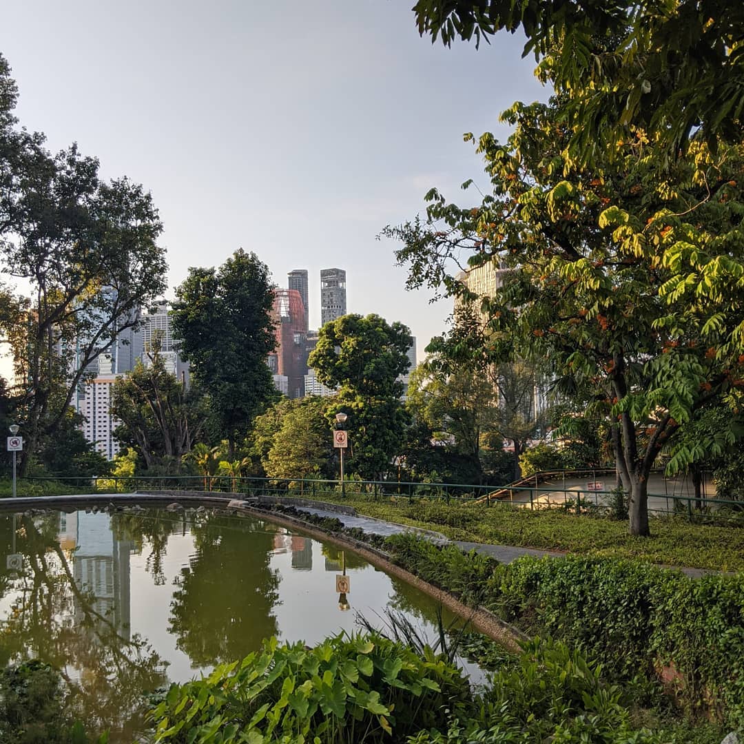 20 Hidden Parks & Gardens In Singapore That Prove The Heartlands Aren't All Just HDBs - pearl's hill city park