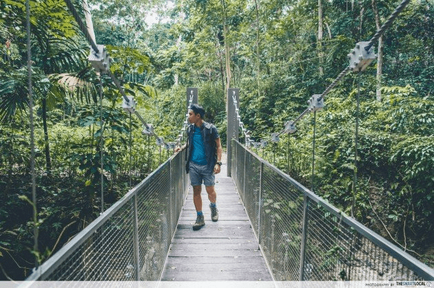 20 Hidden Parks & Gardens In Singapore That Prove The Heartlands Aren't All Just HDBs - chestnut nature park