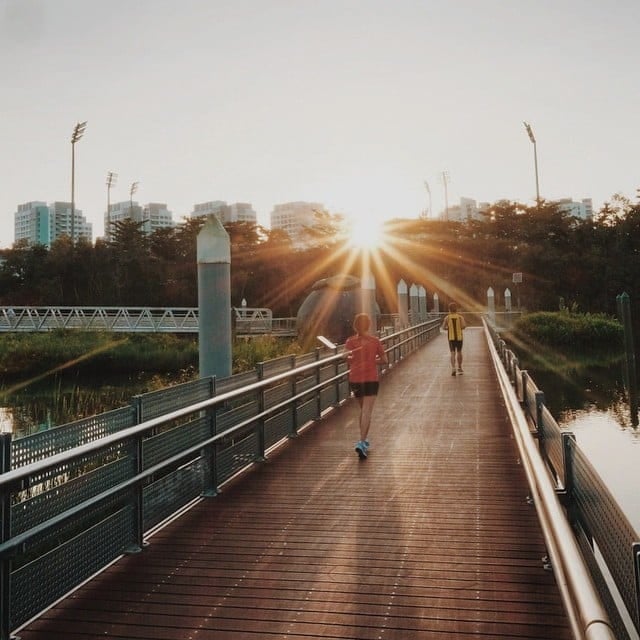 20 Hidden Parks & Gardens In Singapore That Prove The Heartlands Aren't All Just HDBs - sengkang floating wetlands