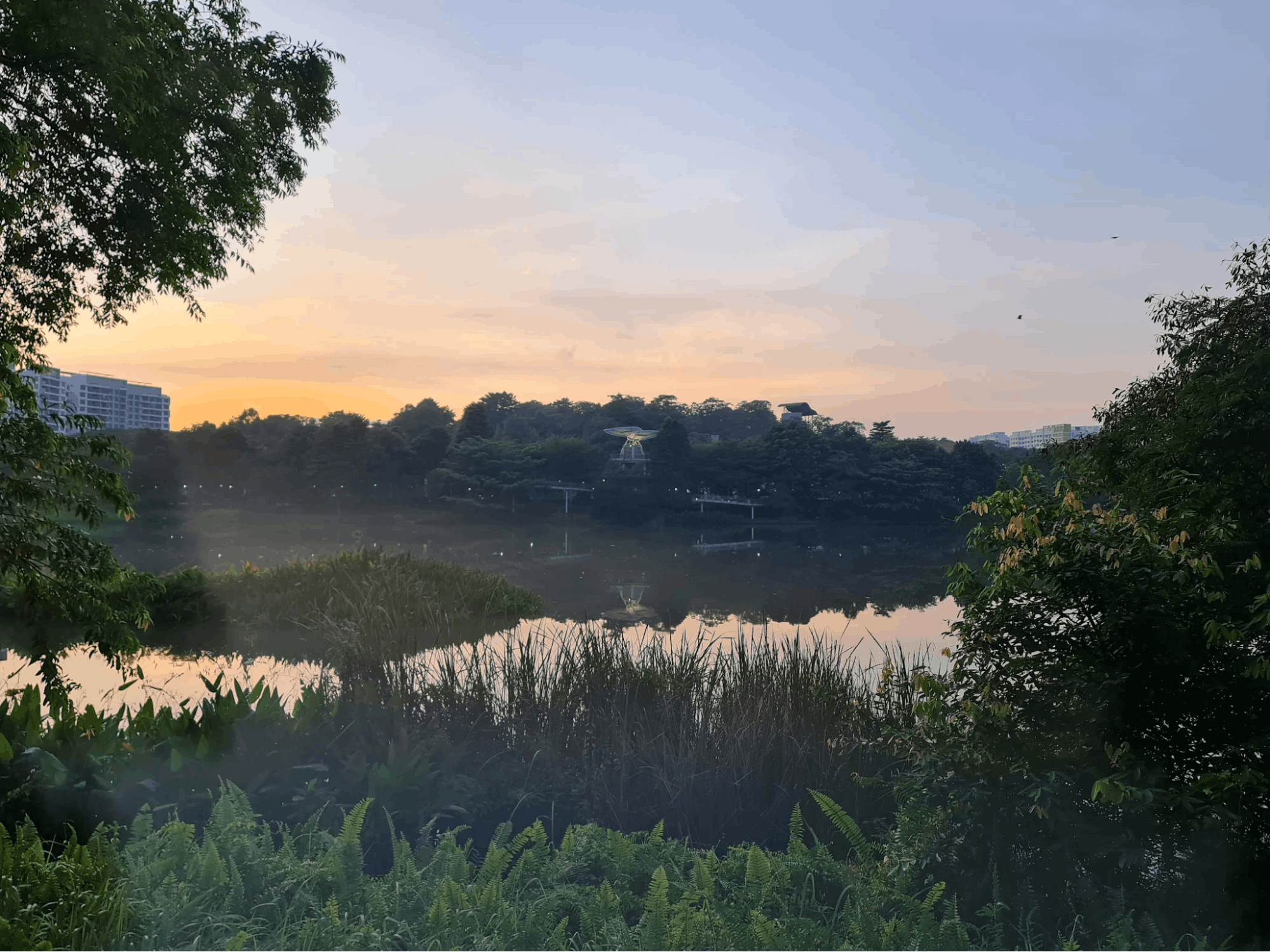 20 Hidden Parks & Gardens In Singapore That Prove The Heartlands Aren't All Just HDBs - yishun pond park