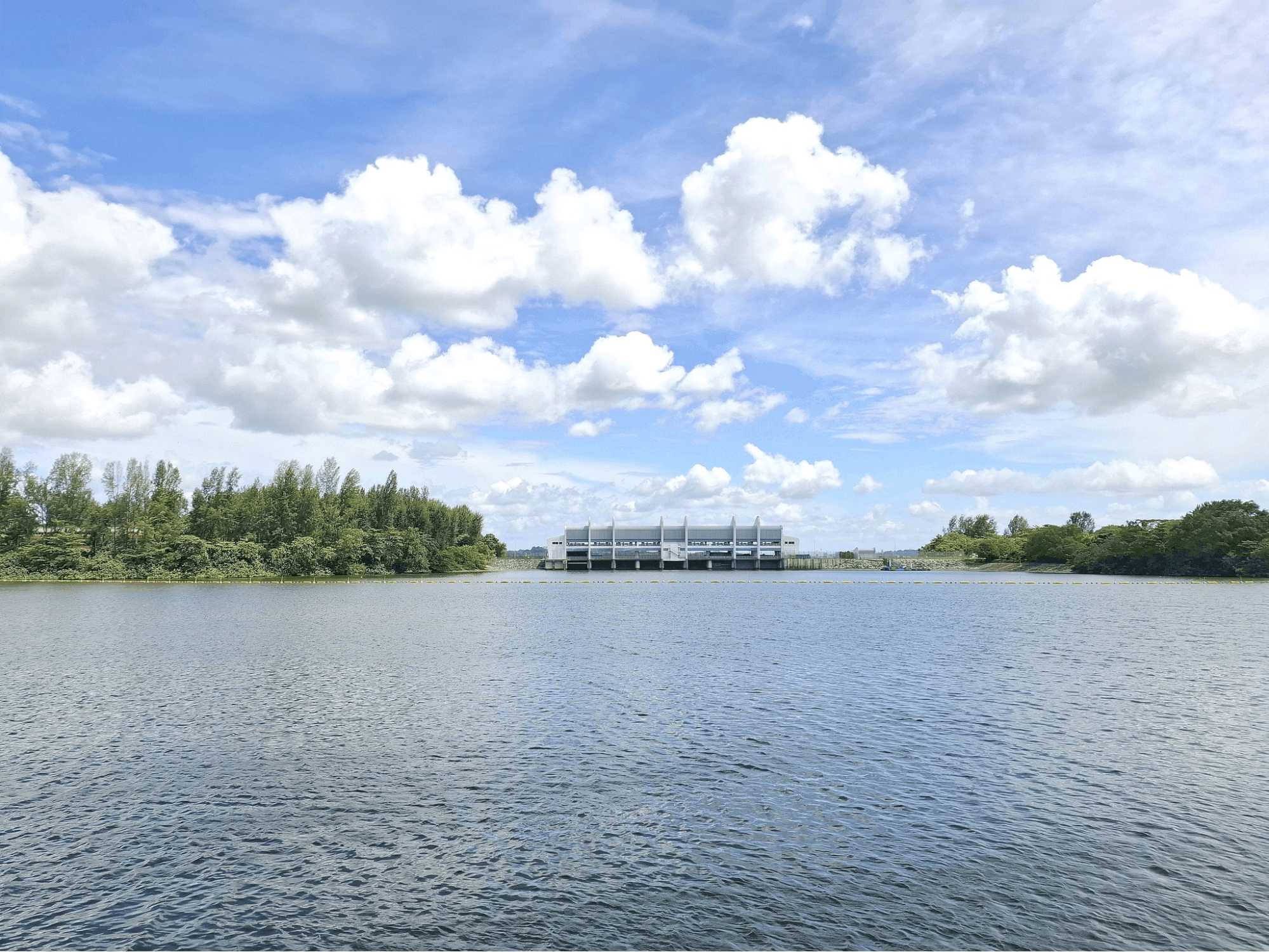 20 Hidden Parks & Gardens In Singapore That Prove The Heartlands Aren't All Just HDBs - punggol promenade nature walk 