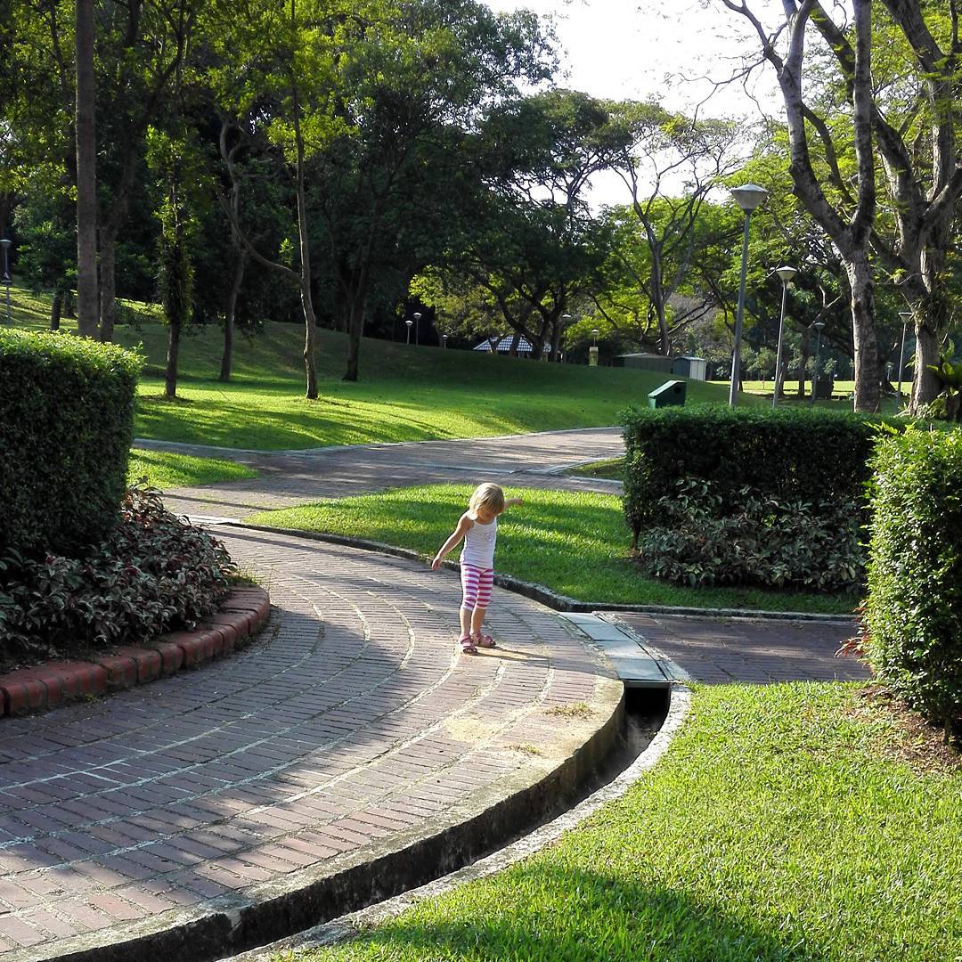 20 Hidden Parks & Gardens In Singapore That Prove The Heartlands Aren't All Just HDBs - clementi woods park