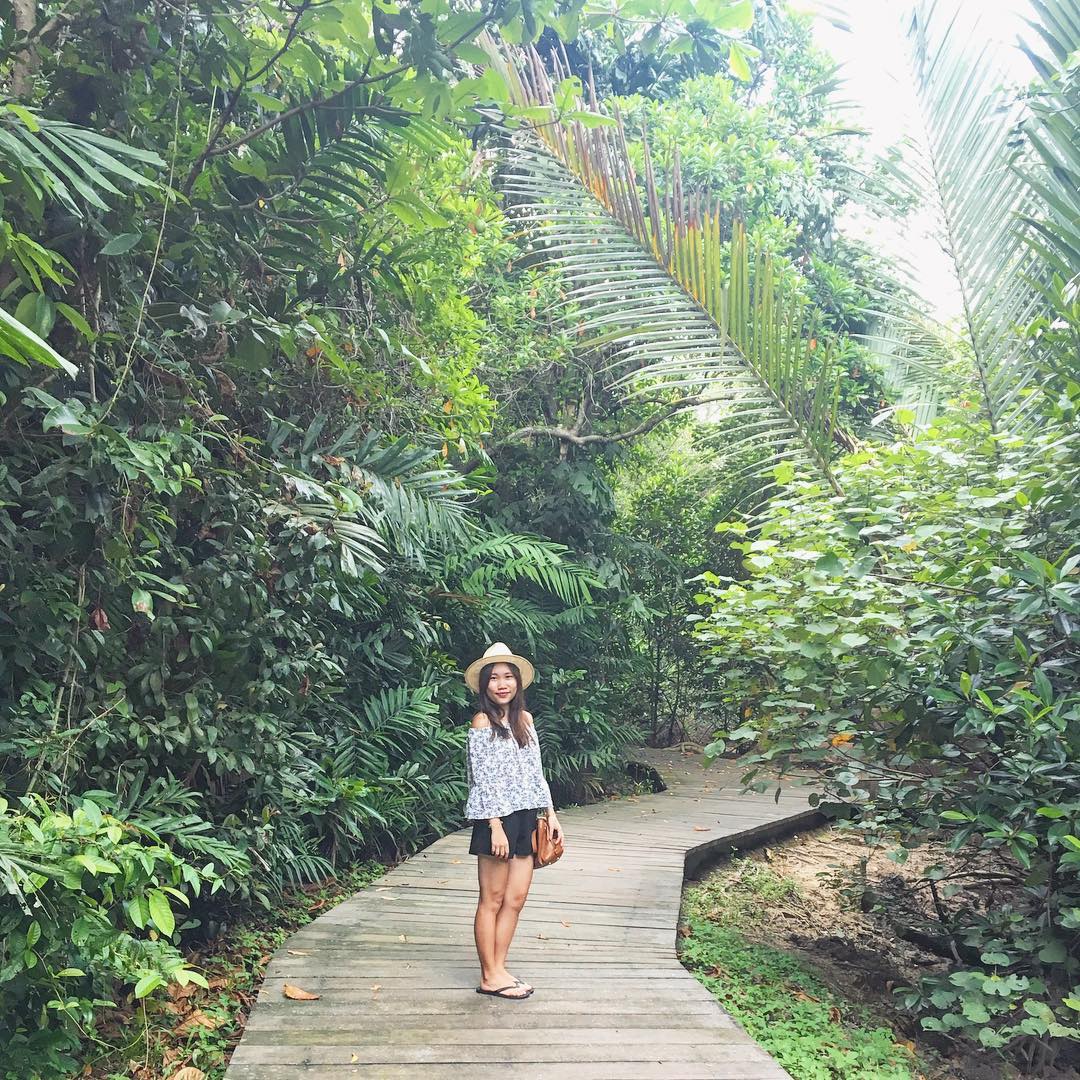 20 Hidden Parks & Gardens In Singapore That Prove The Heartlands Aren't All Just HDBs - pasir ris park mangrove boardwalk