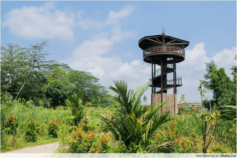 20 Hidden Parks & Gardens In Singapore That Prove The Heartlands Aren't All Just HDBs - kranji marshes