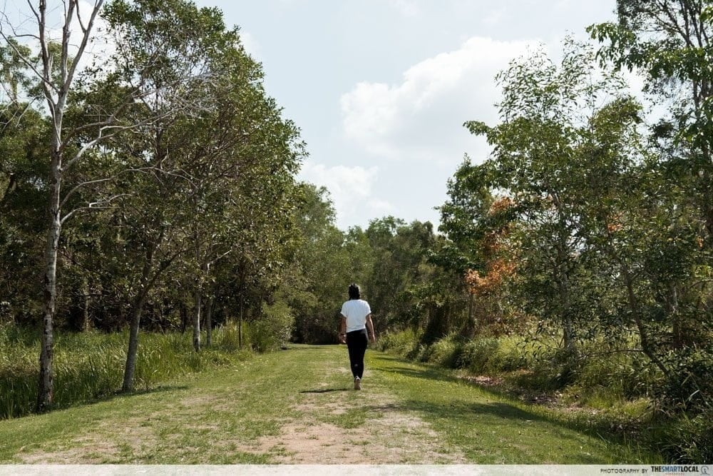 20 Hidden Parks & Gardens In Singapore That Prove The Heartlands Aren't All Just HDBs - tampines eco-green