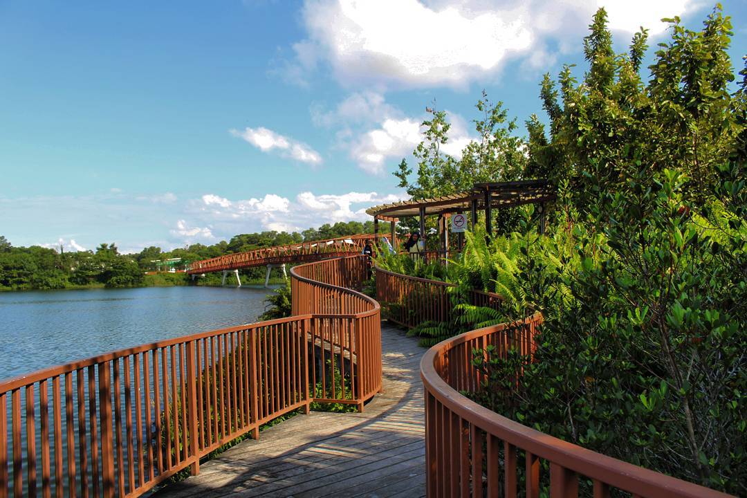 20 Hidden Parks & Gardens In Singapore That Prove The Heartlands Aren't All Just HDBs - Punggol Promenade Nature Walk 