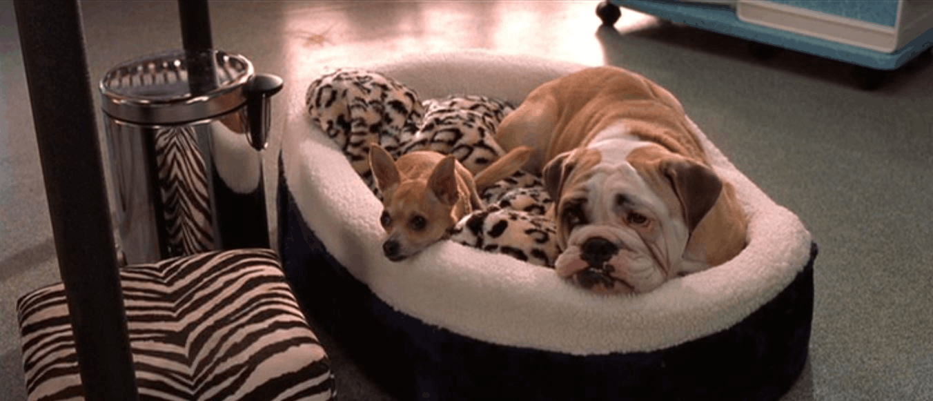 Bruiser Woods & Rufus